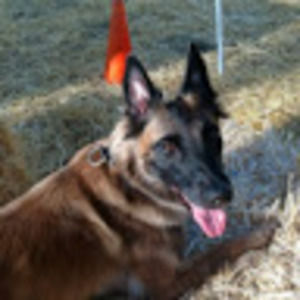 Meet your Posher, Kate